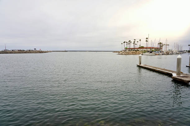 istock OCEANSIDE, CALIFORNIA - 1 JUNE 2019 1156369295
