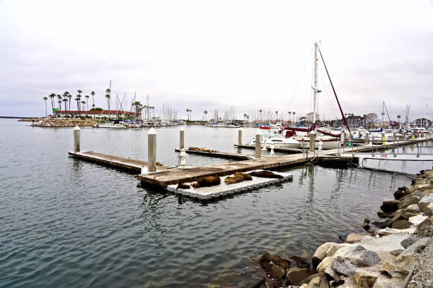 istock OCEANSIDE, CALIFORNIA - 1 JUNE 2019 1156369430