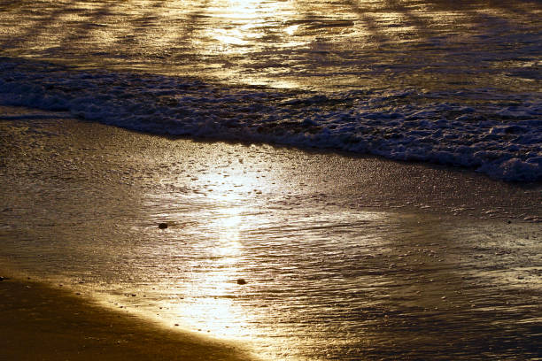 istock The sunset on the beach 1156370118