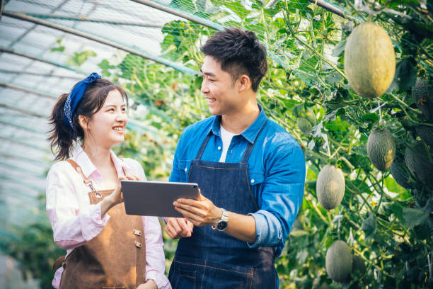 istock Two young Asian people working together with digital tablet in organic farm 1156370202