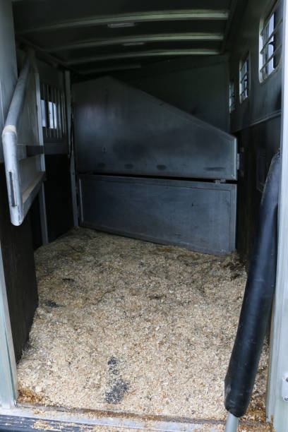 istock Inside of Horse Trailer 1156371357