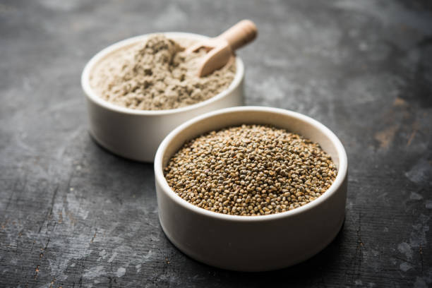 istock Bajra (pearl millet) / sorghum grains with it's flour or powder in a bowl, selective focus 1156372443