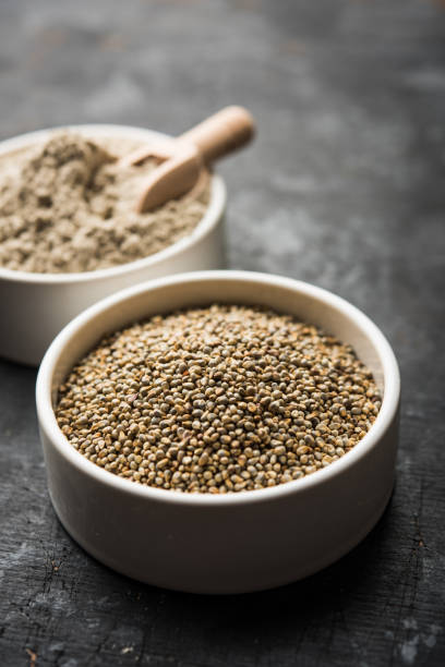 istock Bajra (pearl millet) / sorghum grains with it's flour or powder in a bowl, selective focus 1156372458