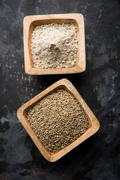 istock Bajra (pearl millet) / sorghum grains with it's flour or powder in a bowl, selective focus 1156372495