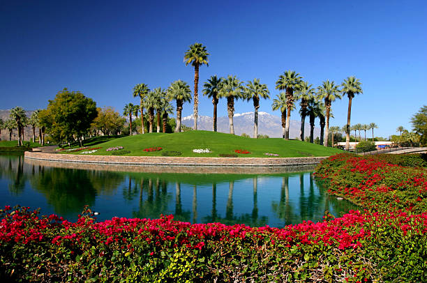 istock desert resort lake 115637867