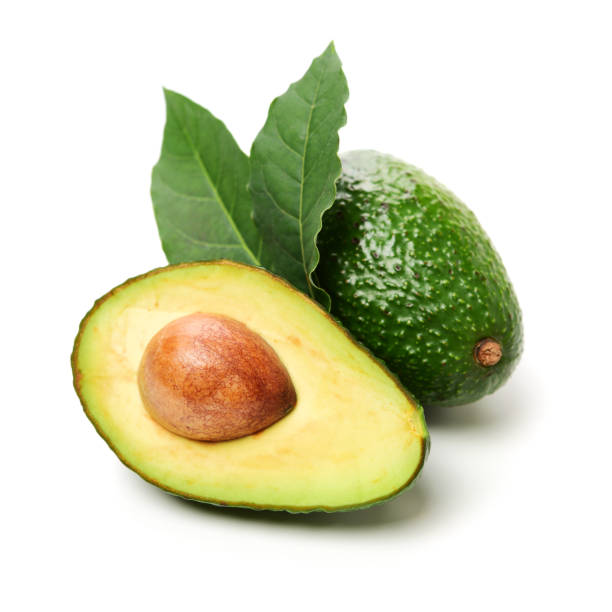 avocado on a white background - avocado vegetable ingredient isolated imagens e fotografias de stock