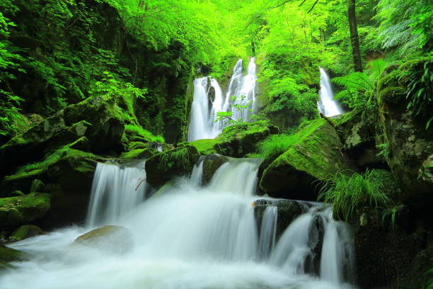 istock Iwate Prefecture summer mountain stream 1156382758
