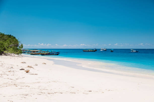 istock Tropical beach and blue ocean in paradise island 1156382896
