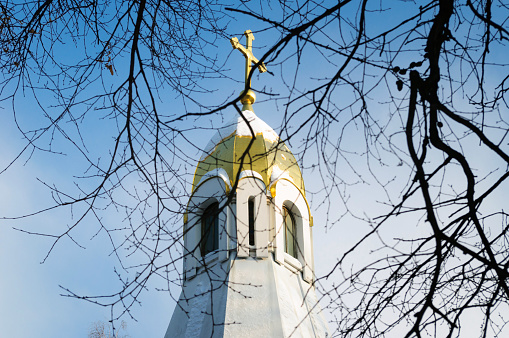 View of the dome of the chapel of the Ryazan Kremlin through the branches of trees, Russia.