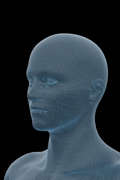 istock Head of Human Body, Male, Man 1156384123