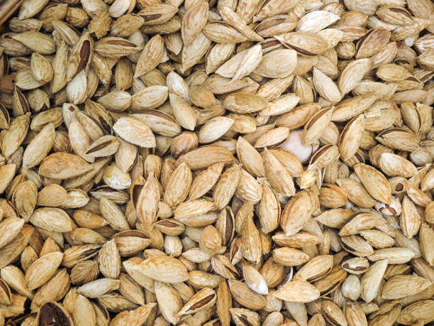 istock Untreated whole almond, almond nuts in shell. 1156385688
