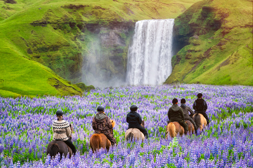 Tourists ride horses at the majestic Skogafoss Waterfall in countryside of Iceland in summer. Skogafoss waterfall is top famous natural landmark and travel destination place of Iceland and Europe.