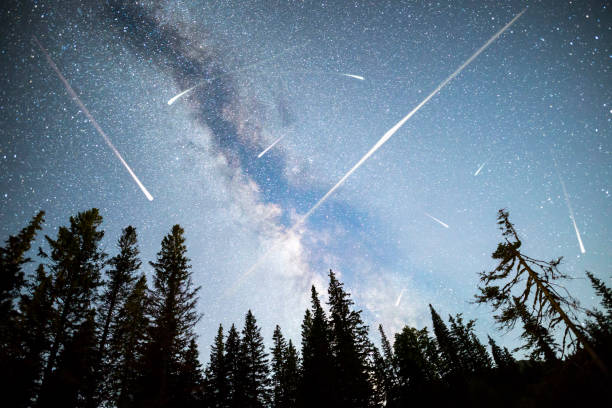 istock Pine trees silhouette Milky Way falling stars 1156387046