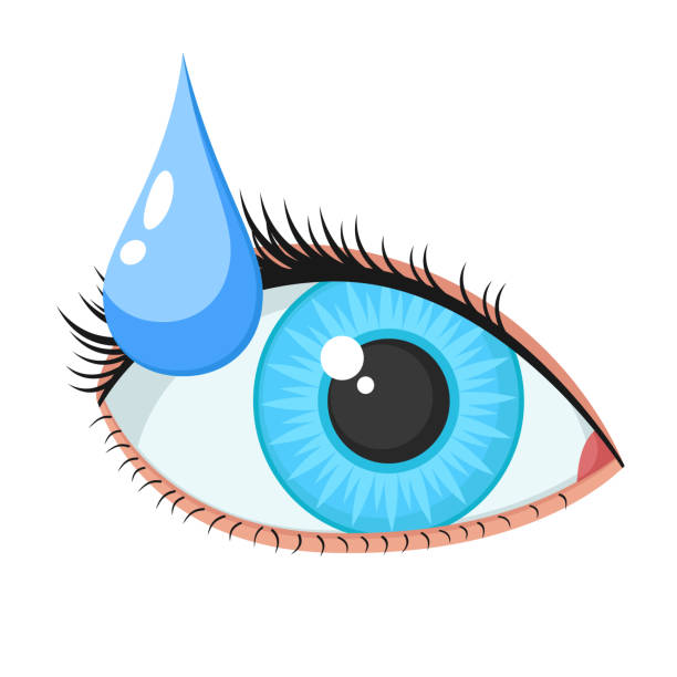 Female Eyes Clipart Transparent Background, Female Cartoon Eye