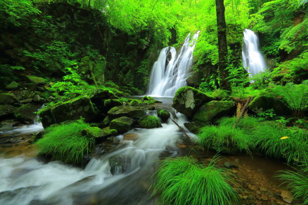 istock Iwate Prefecture summer mountain stream 1156394658