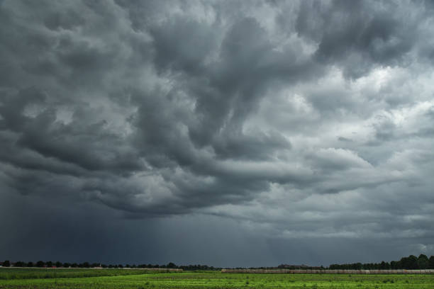 minaccioso nubi temporalesche su terreni agricoli - green environmental conservation meadow wind foto e immagini stock