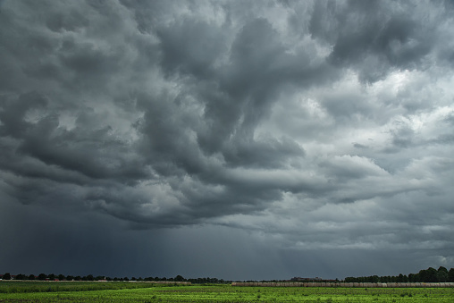 threatening storm clouds over farmland