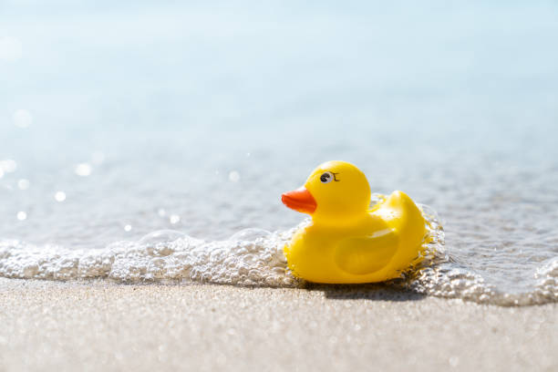 istock Yellow rubber duck toy on the beach 1156400401