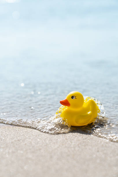 istock Yellow rubber duck toy on the beach 1156400410