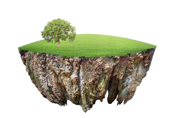istock round soil ground cross section with earth land and green grass. 1156401588