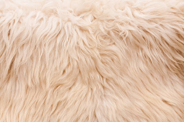 istock natural furry background 115640269