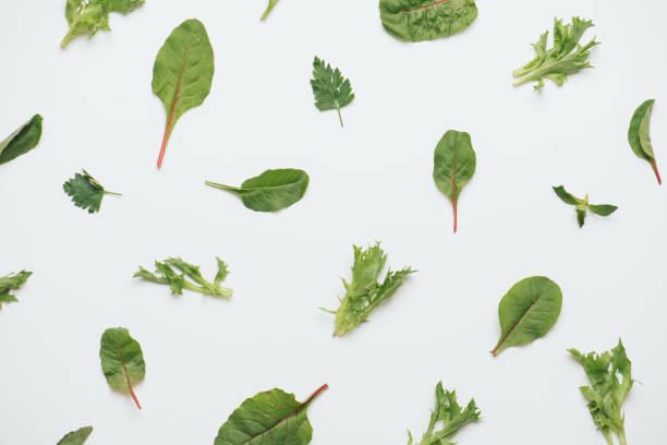 istock Salad leaves laid in pattern, making vegetable abstract background. 1156411320