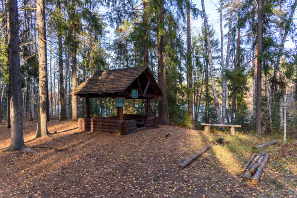 istock Small pavilion for a picnic in the woods 1156413396