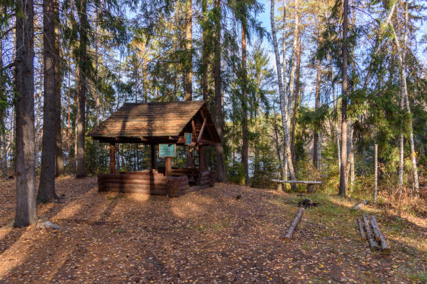 istock Picnic area, table and benches covered in the forest 1156413398