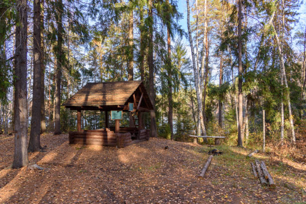 istock Small house in the forest 1156413926