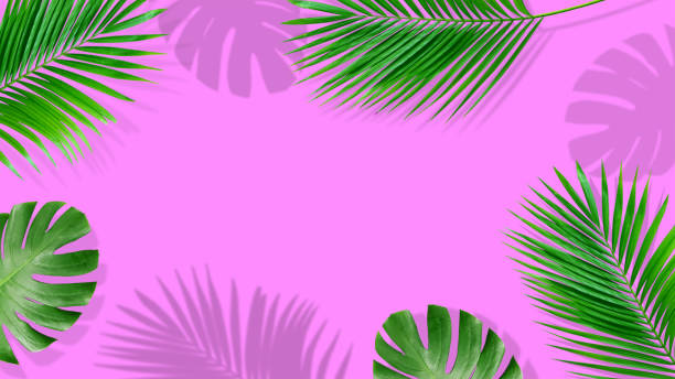istock Summer composition. Tropical palm leaves on yellow background. Summer concept. 1156414259