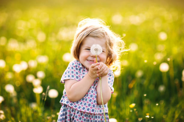 adorable cute little baby girl blowing on a dandelion flower on the nature in the summer. happy healthy beautiful toddler child with blowball, having fun. bright sunset light, active kid. - nature flower dark green imagens e fotografias de stock