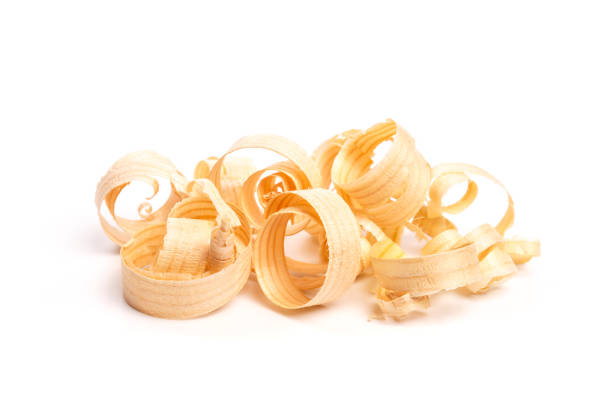istock wooden sawdust slice isolated on the white - Image 1156414561