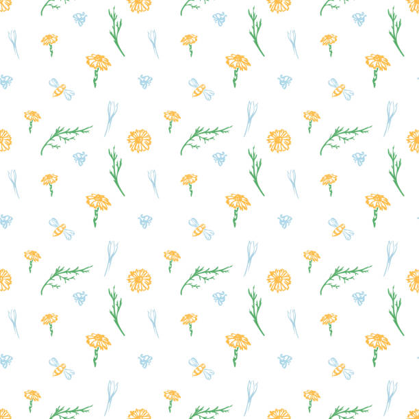 modny bezszwowy kwiatowy wzór wektora - bee backgrounds chamomile plant fragility stock illustrations