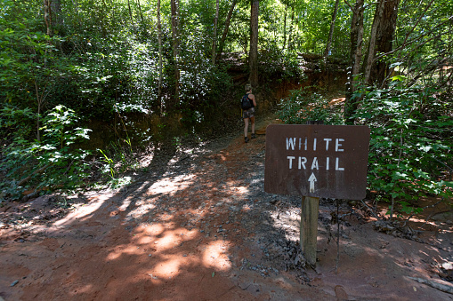 Lumpkin, Georgia/USA-June 14, 2019: Hiker walking up the White Trail in Providence Canyon State Park (Little Grand Canyon) in southwestern Georgia.