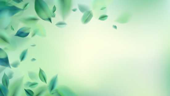 Green nature background with blurred spring leaves vector illustration