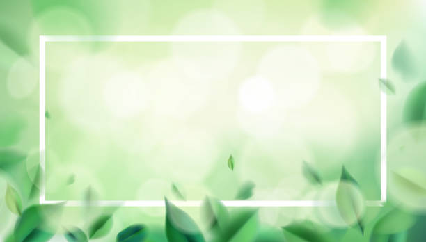 ilustraciones, imágenes clip art, dibujos animados e iconos de stock de fondo natural primaveral verde con hojas - tea crop leaf freshness organic