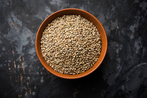 istock Pearl Millet or Bajra seeds also known as sorghum, in a bowl, selective focus 1156422848
