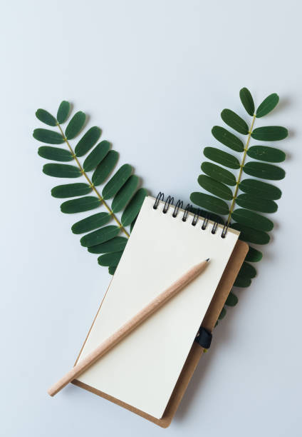 istock flat lay design, blank notebook with pencil and green leaves on white desk, view from the top 1156422867