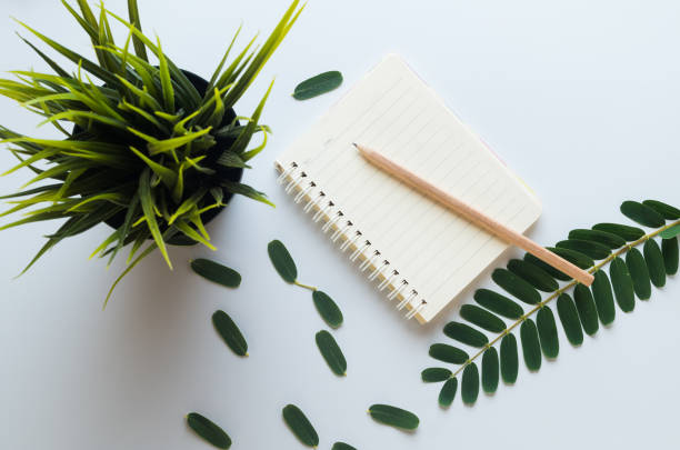 istock flat lay design, blank notebook with pencil and green leaves on white desk, view from the top 1156422876