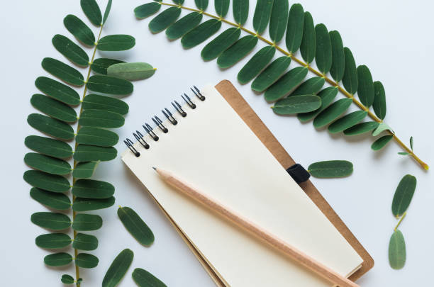 istock flat lay design, blank notebook with pencil and green leaves on white desk, view from the top 1156422880