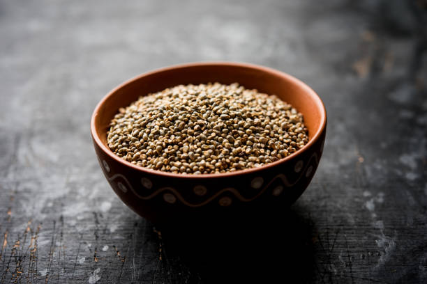 istock Pearl Millet or Bajra seeds also known as sorghum, in a bowl, selective focus 1156422949