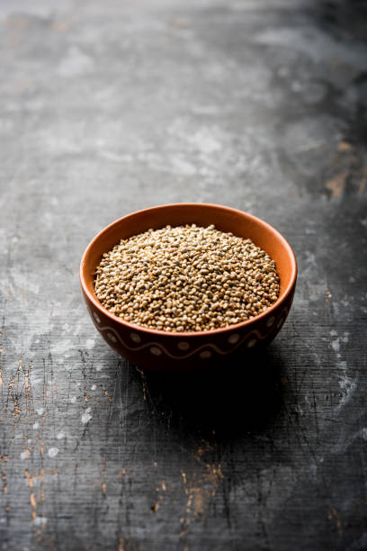 istock Pearl Millet or Bajra seeds also known as sorghum, in a bowl, selective focus 1156423141