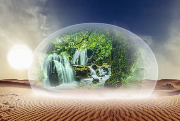 istock Desert and nature under glass 1156425981