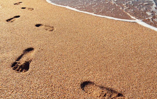 istock Human footprints on the wet sand 1156426224