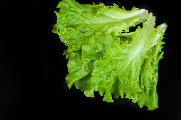 istock Green lettuce isolated on black background. Copy space 1156426264