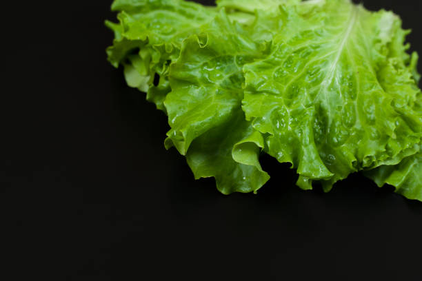 istock Green lettuce isolated on black background. Copy space 1156426845