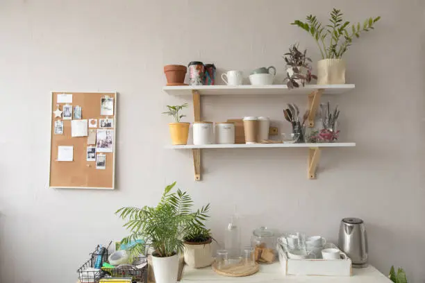 Pots with various houseplants and assorted dishware standing on shelf and cupboard in cozy kitchen