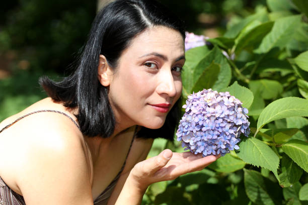 istock Woman smelling a Hydrangea plant. 1156427484