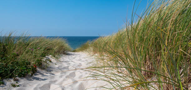 Panorama dune landscape on Sylt at the North Sea Panorama dune landscape on Sylt at the North Sea north sea photos stock pictures, royalty-free photos & images