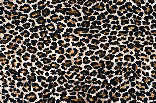 Abstract beautiful background of leopard print. You can write any text and insert the logo.
